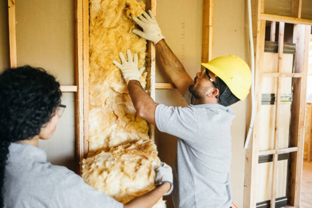 Insulation Inspection Services in Dalhart, TX