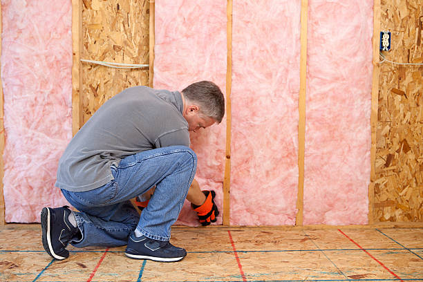Best Local Insulation Services  in Dalhart, TX