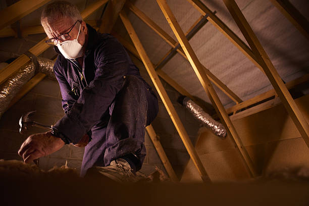 Best Best Insulation Companies  in Dalhart, TX